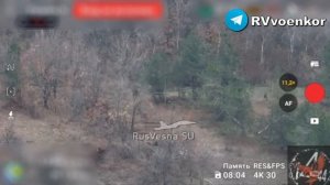 Я тебя в лесу найду тутуту!