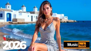 MUSICHUB LIVE VIBE