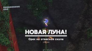 Орех на отвесной скале