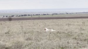 Федора. 16.11.25