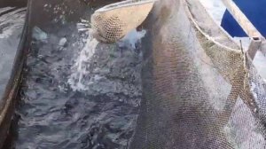 video_2025-11-16_10-54-39