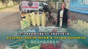 16 ноября. Вришчика Санкранти. Раздача чокар муки и травы коровам