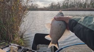 Рыбалка на фидер, ловля на дистанции 88 метров, и турнир по фидеру