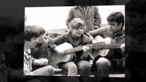 Далеко,далеко журавли улетели...