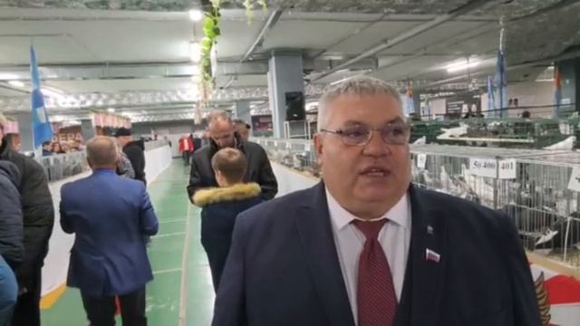 Второй день Международной выставки голубей, Москва, ноябрь, 2025 смотреть онлайн