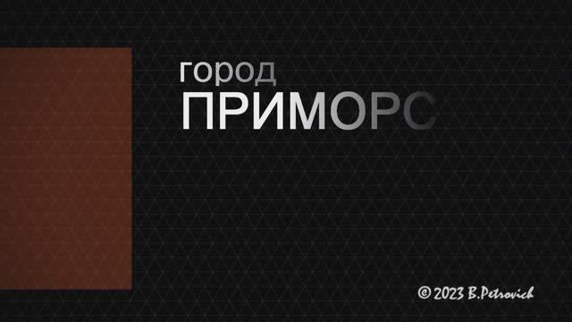 Приморск. Ленобласть. Отдыхаем дома!