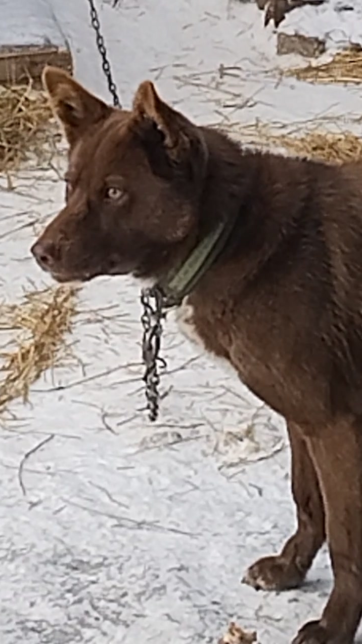 Мишка, к зиме готов! 😁 Угощает друзей!🕊️