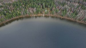 Болотный народ, тысячи гадюк и отважные учёные. Как живут на Васюганских болотах