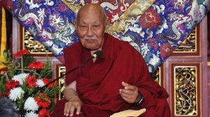 Лудинг Ринпоче ушел из жизни в Бодхгае