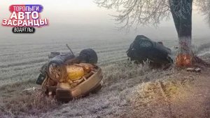 ДТП. Самые Ноябрянутые Торопыги и Водятлы