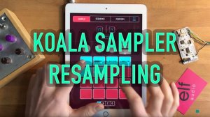 Koala Sampler: Resampling Tutorial