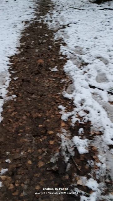 Прогулка в лесопарке ❄️🌲❄️🌲❄️🌲❄️ 15.11.2025 смотреть онлайн