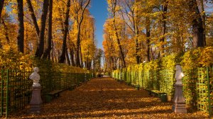 Осень в Летнем саду   стихи В. Резанов ; музыка и исполнение А. Михайлов