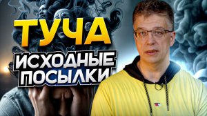 Туча. Выявляем исходные посылки.