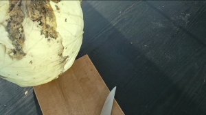 Хранение свежей капусты зимой