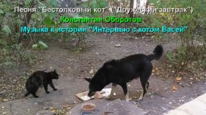Песня "Бестолковый кот" ("Дружеский завтрак"). Константин Оборотов.