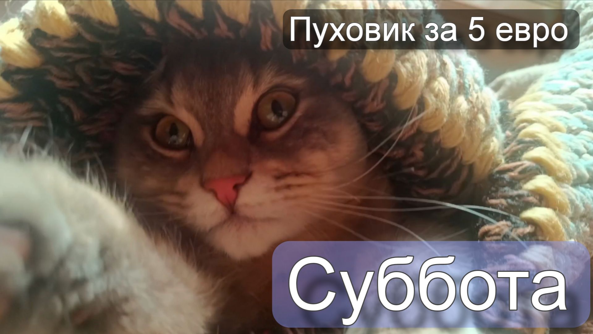 Каждый день со мной во Франции. От рассвета до заката. (1)