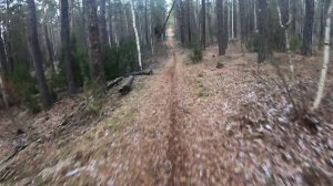 Ноябрь): ещё катаемся!