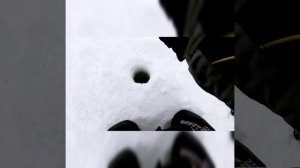 Щука и пара окуней