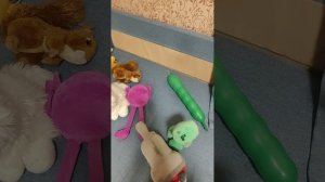 БЕЛЫЙ КОТ СНОВО ЗЛОЙ? ЧАСТЬ 2/2