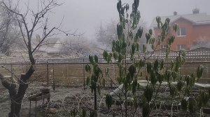 16 ноября двадцать пятый год первый заморозок