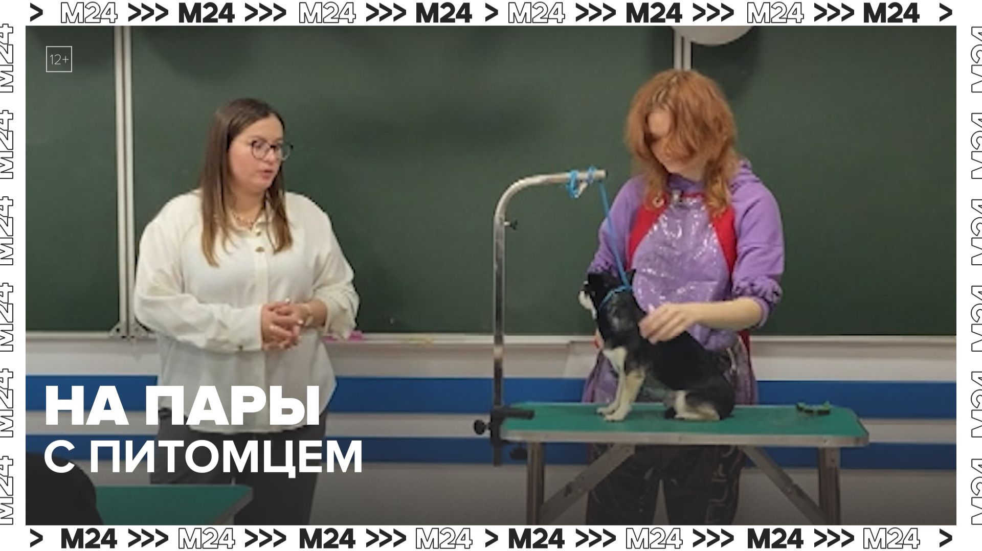 Студенты-кинологи посещают занятия вместе со своими питомцами — Москва 24