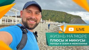 Почему ЛЮДИ ПЕРЕЕЗЖАЮТ на юг? Почти ЗИМА на Черноморском побережье. АРХИПО-ОСИПОВКА в ноябре.