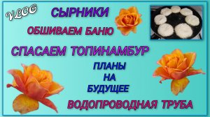 🍒Продолжаем обшивать баню, муж упал с лестницы/ Спасаем топинамбур/Приводим в порядок трубу/Сырники
