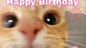 мой влог на день рождения подруге 💋💋