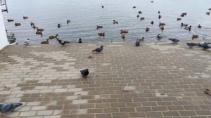 #мой город становится краше