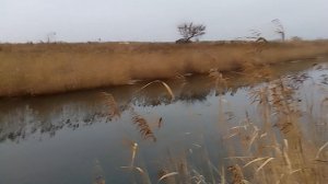 VID_20251116_151148.mp4 обзор деревенской речки 🎣