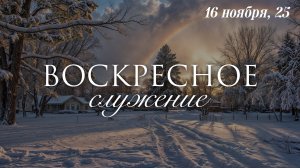 16 НОЯБРЯ 2025 | Плотников А.