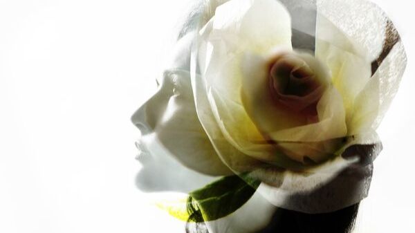 VA - Spring & Chillhouse Moves (2025)