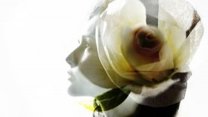 VA - Spring & Chillhouse Moves (2025)