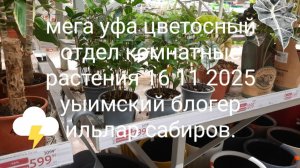 тот самый подводный мир в мега уфа . уфа сегодня 16 11 2025 подводный мир рыба разная в мега уфа
