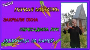 🍒Первая морковь со своего участка/Очередная вылазка в лес/Закрыли окна на террасе/Дровница за баней