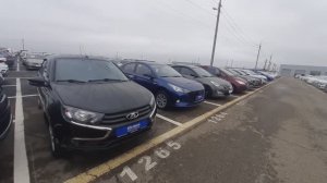 С сыночком поехали в автосалон, что есть в продаже