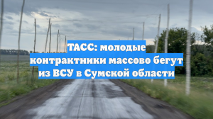 ТАСС: молодые контрактники массово бегут из ВСУ в Сумской области