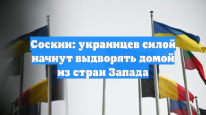 Соскин: украинцев силой начнут выдворять домой из стран Запада