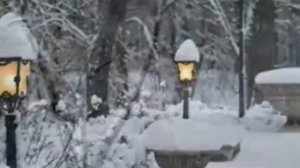 САЛЬВАТОРЕ АДАМО ПАДАЕТ СНЕГ @lizhar888