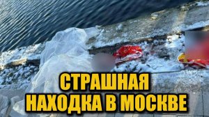 Шокирующее преступление: в пруду найден рюкзак с останками ребёнка