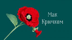 Как Связать Мак?! Вязаные Цветы. Виктория Вяжет