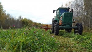 Последний сенокос в 2025. Скосил в +20, убрал в -10.