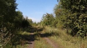 Местные зовут это место Темный Угол. Просто суеверие или место темных сил