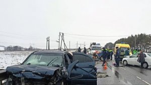 Аварии и ДТП на дорогах ТОРОПЫГИ за рулем