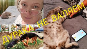 Живём на Кубани.Дурака не валяем.