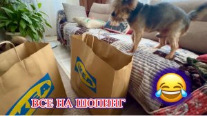 ‼️МОИ ПОКУПКИ В ИКЕА и МЕТРО‼️