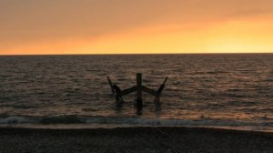 Скоро Новый Год