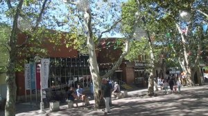 Геленджик  Платановая аллея