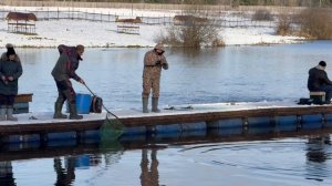 Поимки форели !!!